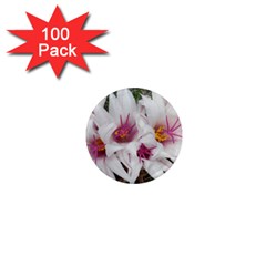 Bloom Cactus  1  Mini Button Magnet (100 Pack) by ADIStyle