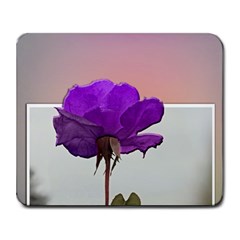 Beautiful Purple Rose In 3d Large Mouse Pad (rectangle) by designsbyvee