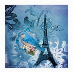 Girly Blue Bird Vintage Damask Floral Paris Eiffel Tower Glasses Cloth (Medium, Two Sided)