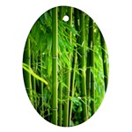 Bamboo Oval Ornament