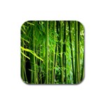 Bamboo Drink Coasters 4 Pack (Square)