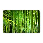 Bamboo Magnet (Rectangular)