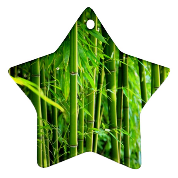 Bamboo Star Ornament (Two Sides)