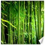 Bamboo Canvas 12  x 12  (Unframed)