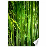 Bamboo Canvas 12  x 18  (Unframed)