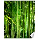 Bamboo Canvas 16  x 20  (Unframed)
