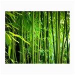 Bamboo Glasses Cloth (Small, Two Sided)