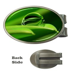 Waterdrop Money Clip (oval) by Siebenhuehner