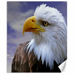 Bald Eagle Canvas 8  X 10  (unframed) by Siebenhuehner