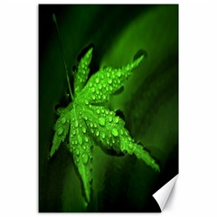 Leaf With Drops Canvas 24  X 36  (unframed) by Siebenhuehner