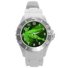 Leaf With Drops Plastic Sport Watch (large) by Siebenhuehner