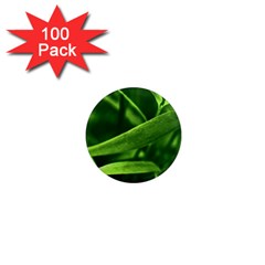Bamboo 1  Mini Button Magnet (100 Pack) by Siebenhuehner