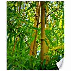 Bamboo Canvas 20  X 24  (unframed) by Siebenhuehner