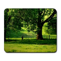 Trees Large Mouse Pad (rectangle) by Siebenhuehner