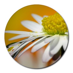 Daisy With Drops 8  Mouse Pad (round) by Siebenhuehner