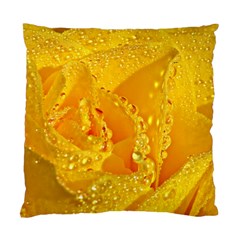 Waterdrops Cushion Case (single Sided)  by Siebenhuehner