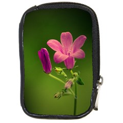 Campanula Close Up Compact Camera Leather Case by Siebenhuehner