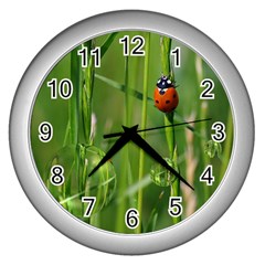 Ladybird Wall Clock (silver) by Siebenhuehner