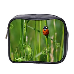 Ladybird Mini Travel Toiletry Bag (two Sides) by Siebenhuehner