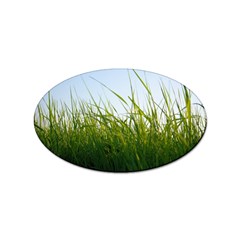 Grass Sticker (oval) by Siebenhuehner