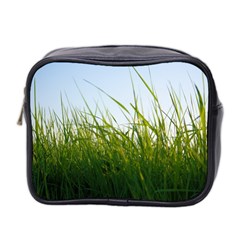 Grass Mini Travel Toiletry Bag (two Sides) by Siebenhuehner