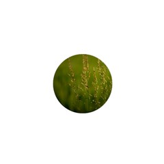 Grass 1  Mini Button Magnet by Siebenhuehner