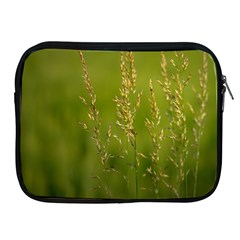 Grass Apple Ipad 2/3/4 Zipper Case by Siebenhuehner