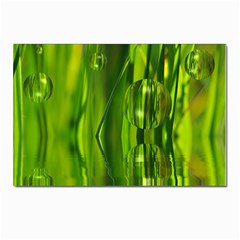 Green Bubbles  Postcard 4 x 6  (10 Pack) by Siebenhuehner