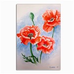 Poppies Postcards 5  x 7  (10 Pack)