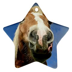 Haflinger  Star Ornament by Siebenhuehner