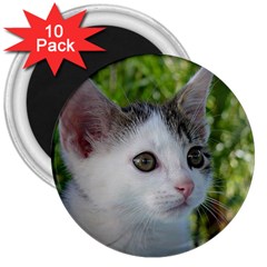 Young Cat 3  Button Magnet (10 Pack) by Siebenhuehner