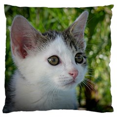 Young Cat Large Cushion Case (single Sided)  by Siebenhuehner