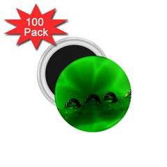 Drops 1 75  Button Magnet (100 Pack) by Siebenhuehner
