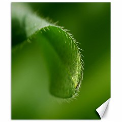 Leaf Canvas 20  X 24  (unframed) by Siebenhuehner