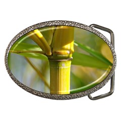 Bamboo Belt Buckle (oval) by Siebenhuehner