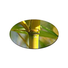 Bamboo Sticker (oval) by Siebenhuehner