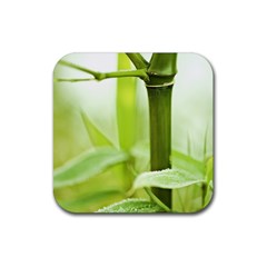 Bamboo Drink Coasters 4 Pack (square) by Siebenhuehner