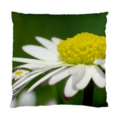 Daisy With Drops Cushion Case (two Sided)  by Siebenhuehner