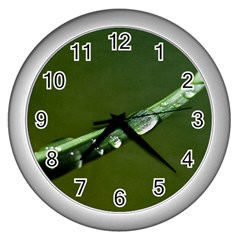 Grass Drops Wall Clock (silver) by Siebenhuehner