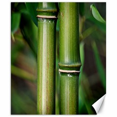 Bamboo Canvas 20  X 24  (unframed) by Siebenhuehner