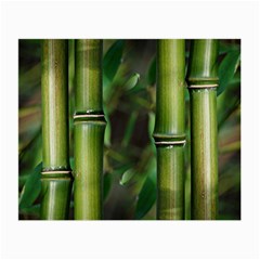 Bamboo Glasses Cloth (small, Two Sided) by Siebenhuehner