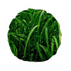 Grass 15  Premium Round Cushion  by Siebenhuehner