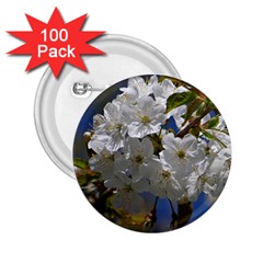 Cherry Blossom 2 25  Button (100 Pack) by Siebenhuehner