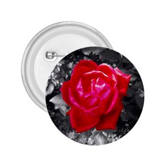 Red Rose 2 25  Button by jotodesign