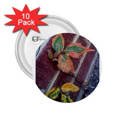 A Leaf In Stages 2 25  Button (10 Pack) by WispsofFantasy