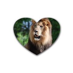 Regal Lion Drink Coasters 4 Pack (heart) 