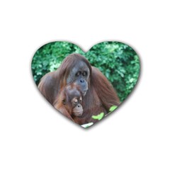 Orangutan Family Drink Coasters (heart) by AnimalLover