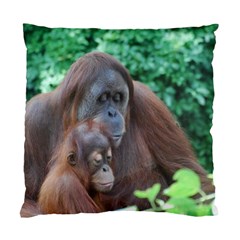 Orangutan Family Cushion Case (single Sided) 