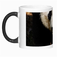 Giant Panda Morph Mug by AnimalLover