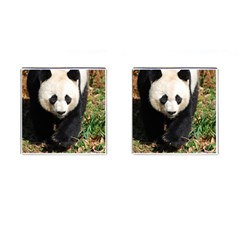 Giant Panda Cufflinks (square) by AnimalLover